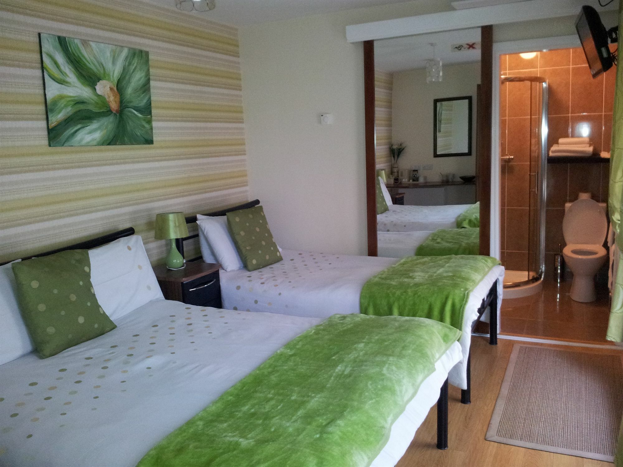Bed and Breakfast Rose Park House Londonderry Exteriér fotografie